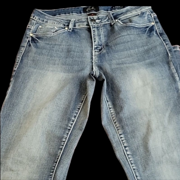 Earl Jeans Blue Boot Cut Jeans with Faded Wash and Classic Design - Picture 2 of 5